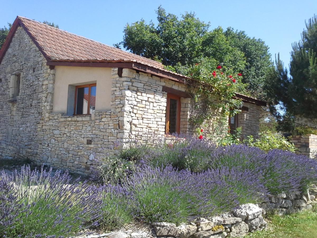 Salviac Le Hameau Des Cardenals 빌라 외부 사진